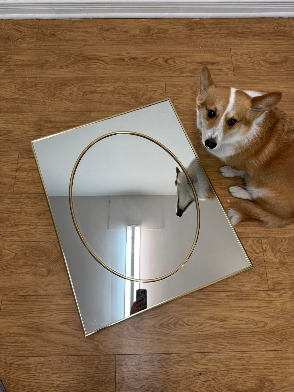 Miroir rectangulaire et oval doré laiton