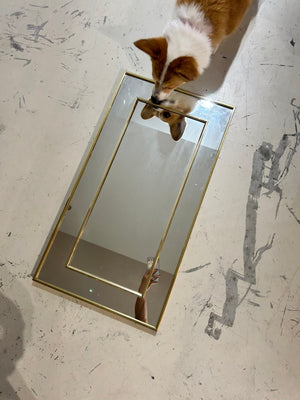 Rectangular golden brass mirror