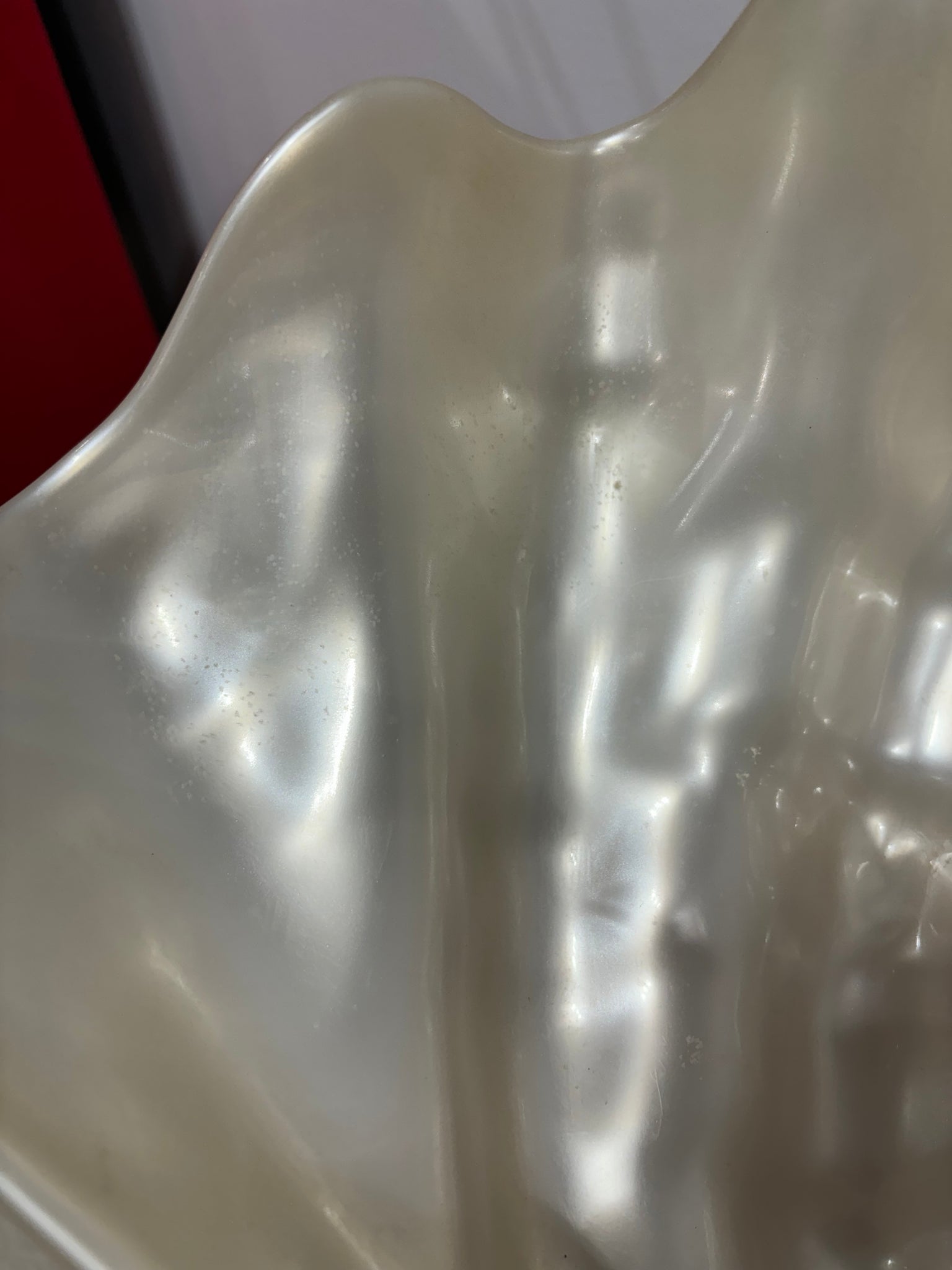 XL coquillage crème en plastique