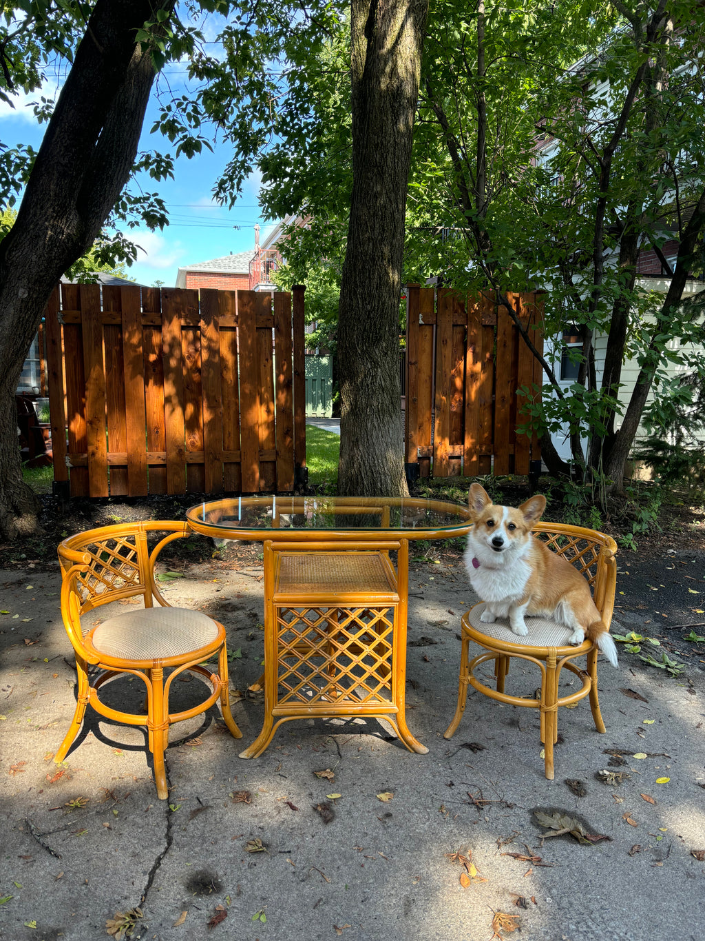 Ensemble à diner table et chaises en bambou et rotin