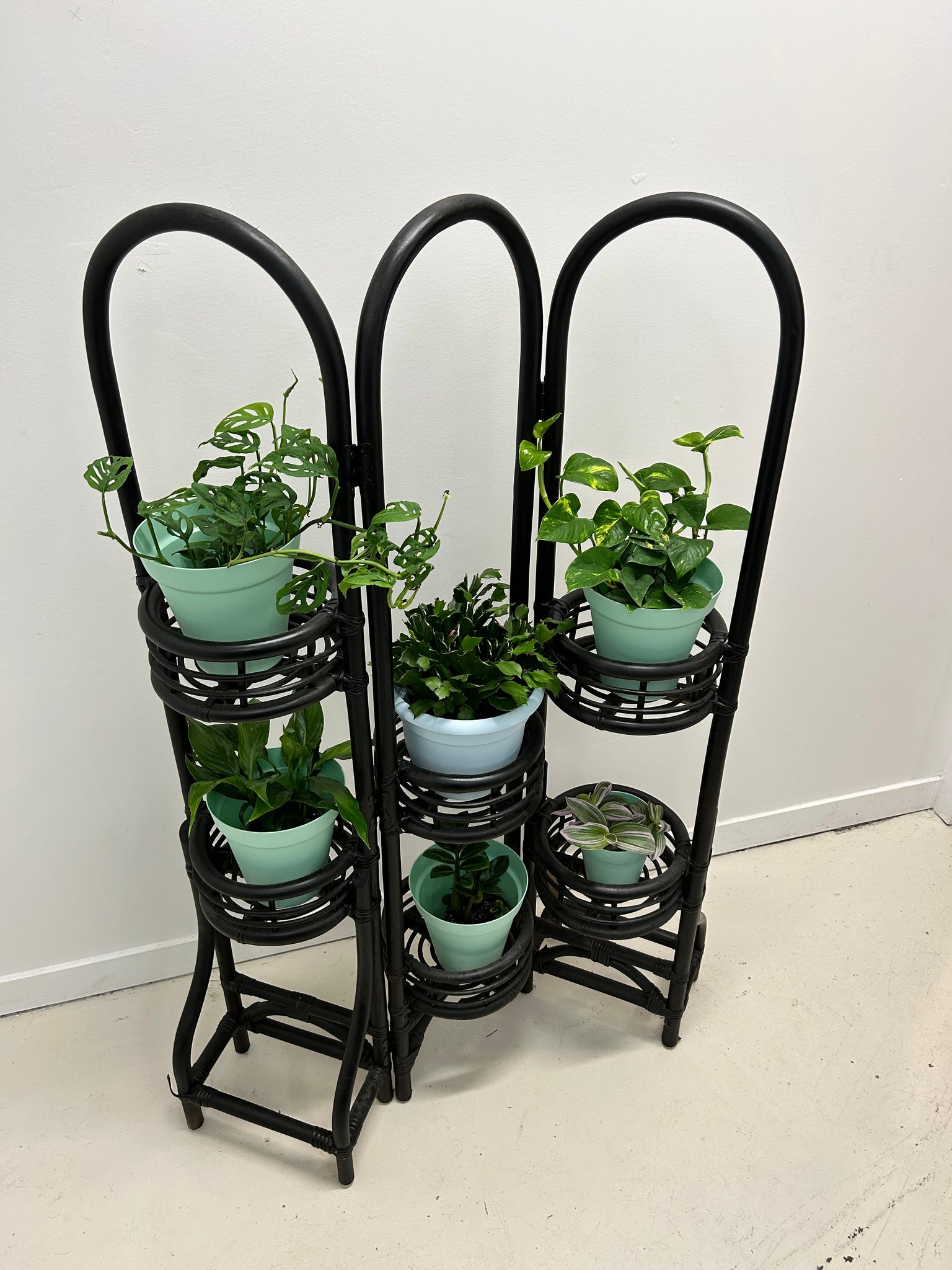 Black bamboo paravent with planters