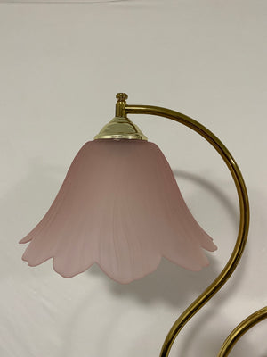 Pink frosted glass flowers and brass table & floor lamps