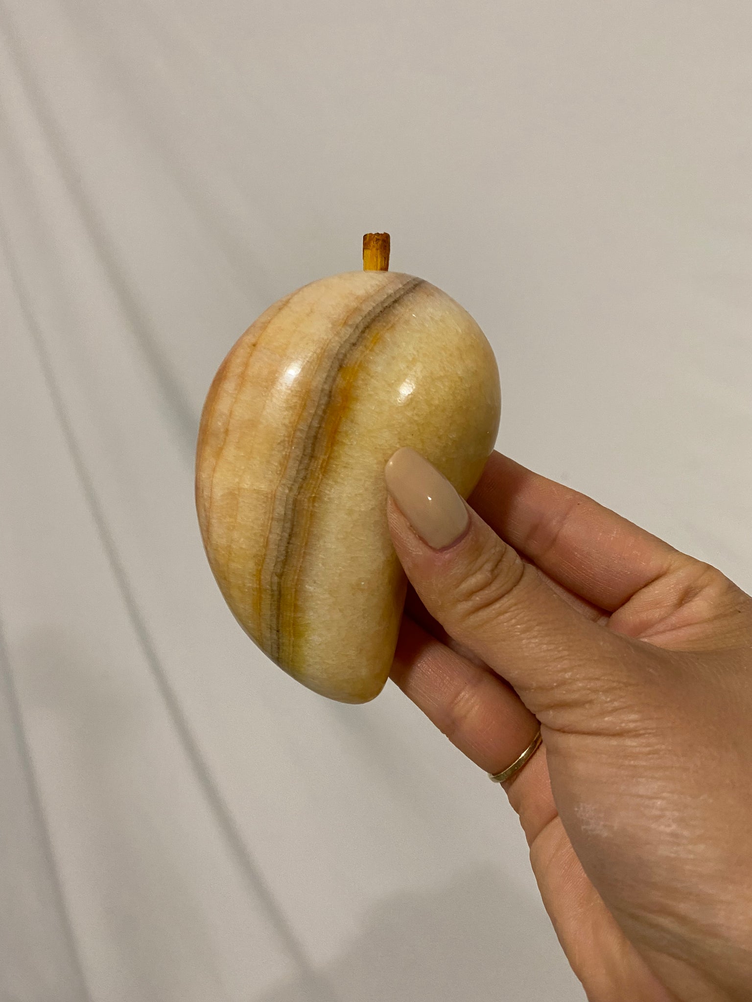 Medium sized stone fruits