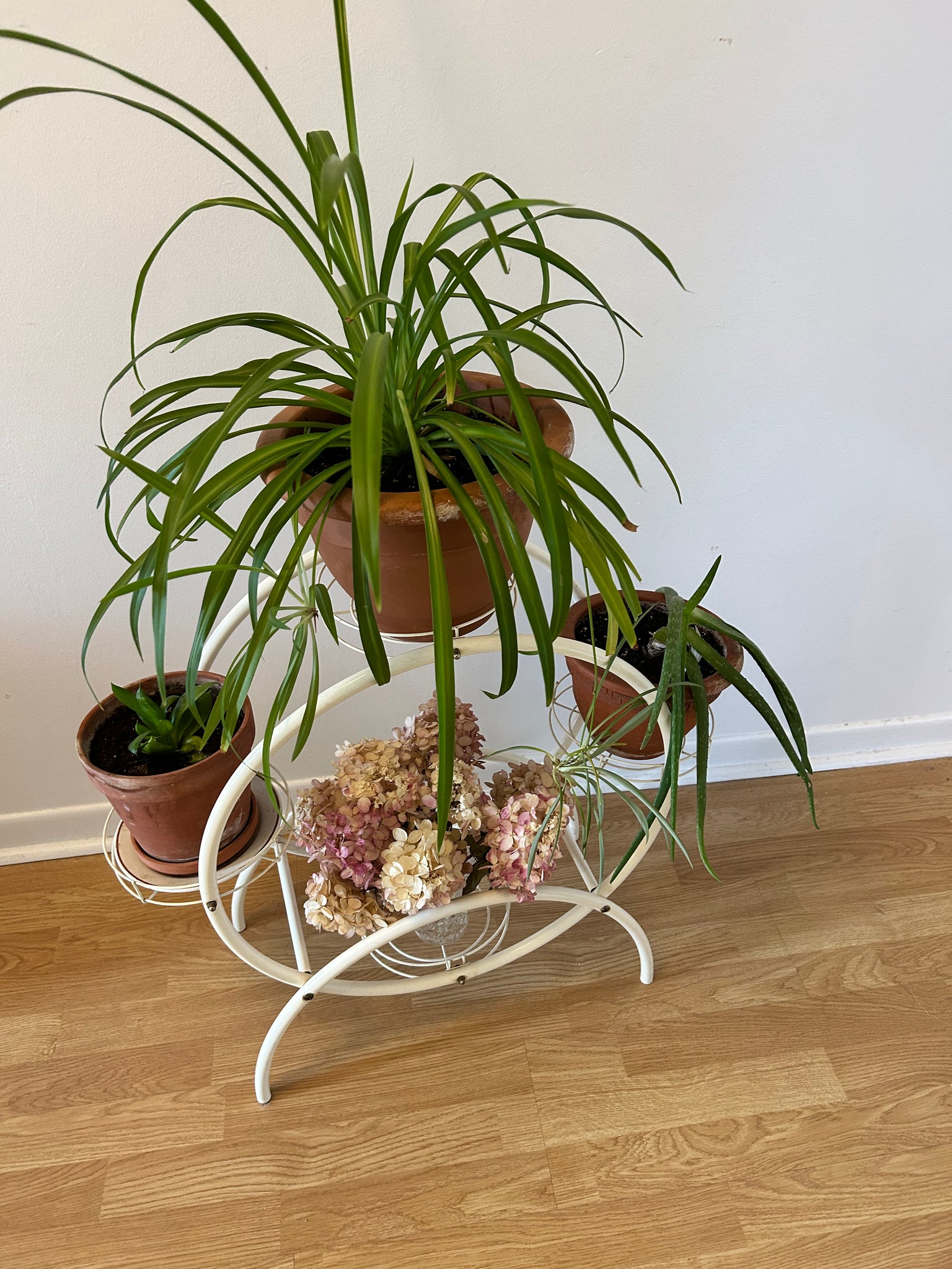 Round white tubular metal plant stand