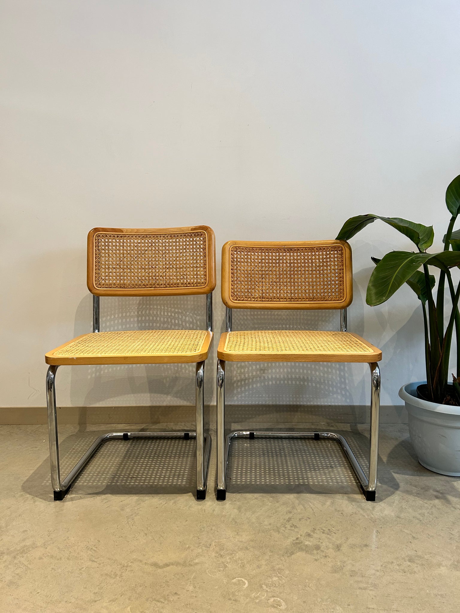 Chrome & cane cantilever Cesca style chairs