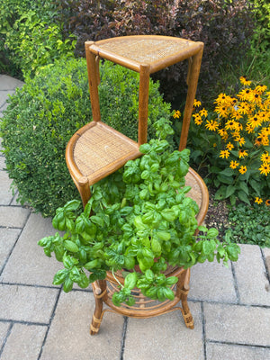 Cute bamboo & wicker plant stand