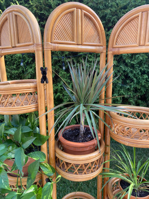 Bamboo paravent with planters