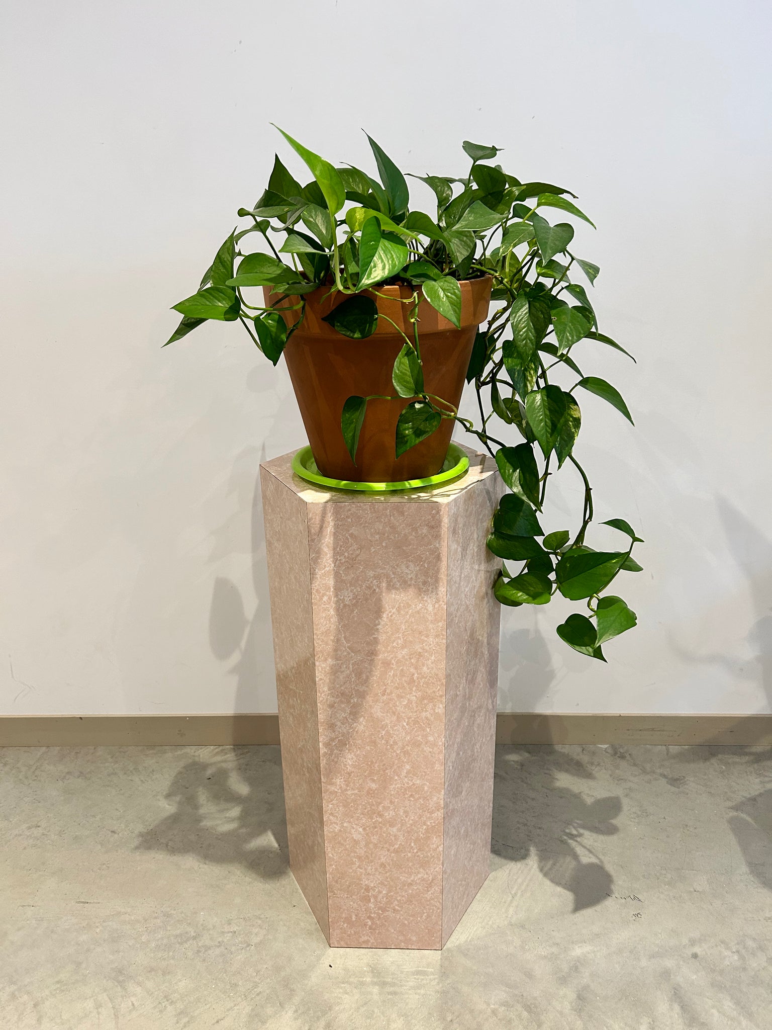 Pink marble immitation podium