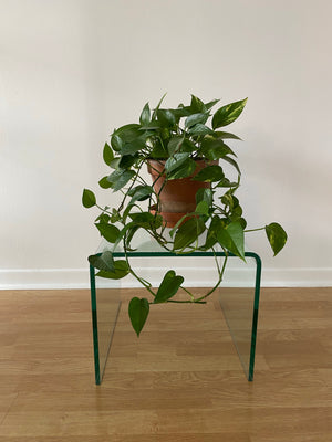 Tempered glass waterfall coffee & side tables
