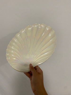 Selection of iridescent seashell items