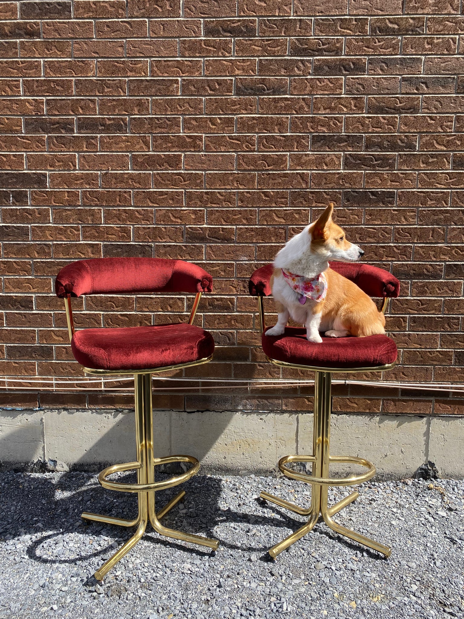 Brass swivel online bar stools