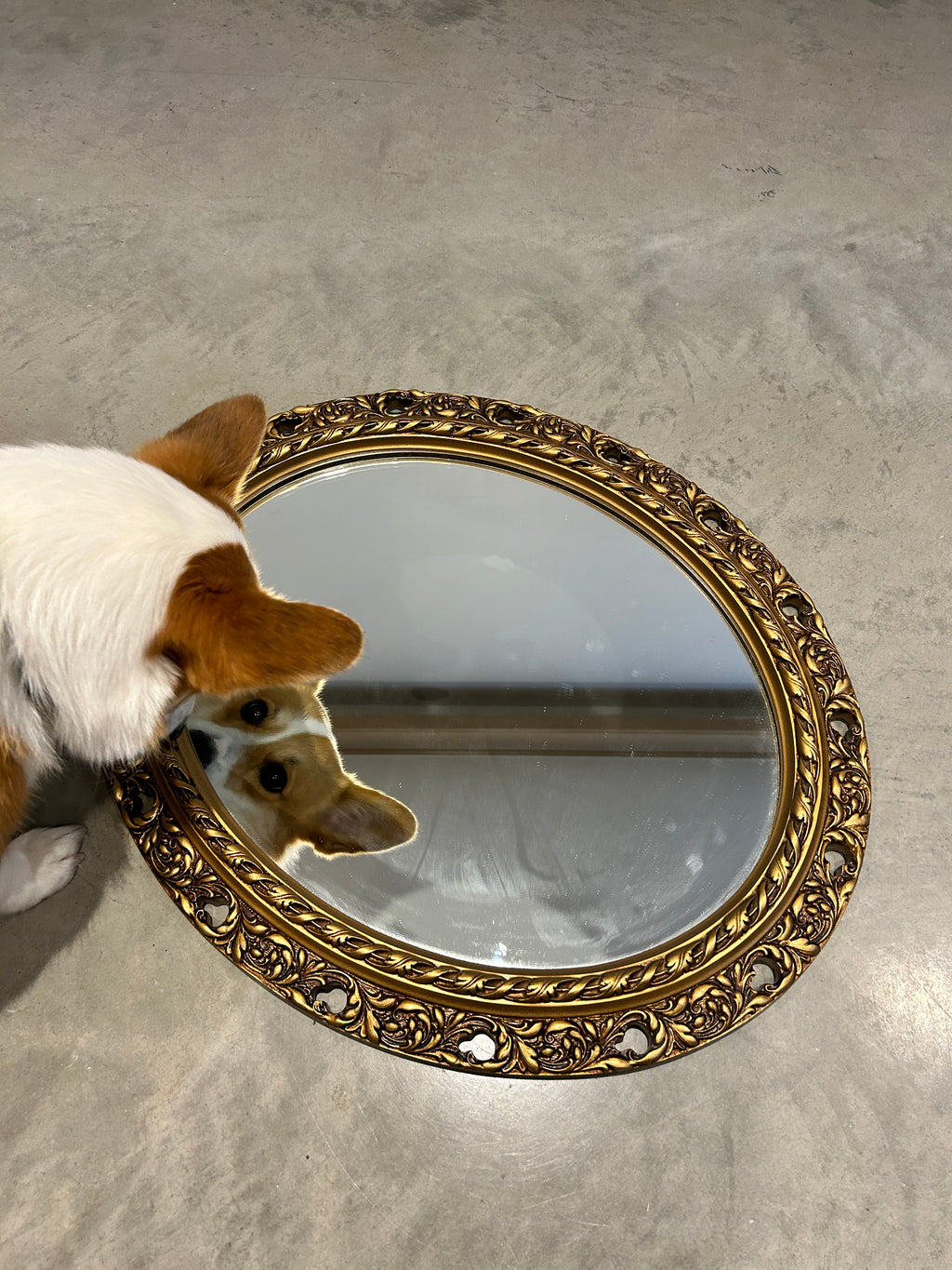 Antique ornate golden oval mirror