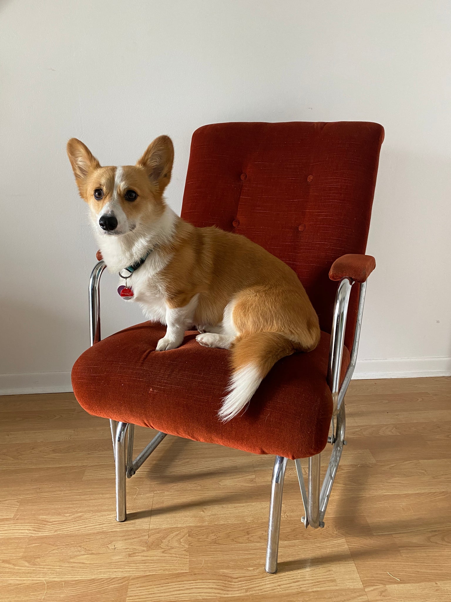 Burnt orange rocking chair 2025