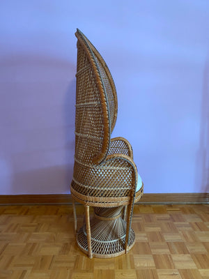 Peacock wicker chair
