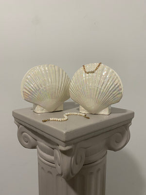 Iridescent seashells